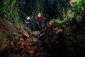 BIB: 
                            <button type="button" onclick="openModal(26416237)" class="btn btn-primary btn-sm float-right btn-popup" data-toggle="modal" data-target=".modal-high-quality">
                        <i class="fas fa-shopping-cart"></i> Add to Cart
                    </button>
                                            <button type="button" onclick="isThisMe(26416237, true)" class="btn btn-success btn-sm float-right btn-popup btn-isme hidden" data-toggle="tooltip" data-placement="bottom" title="นี่คือรูปของคุณใช่ไหม คลิกที่นี่เพื่อเอาเข้าอัลบั้ม">
                        <i class="fas fa-plus"></i> Add to album
                    </button>
                    <button type="button" onclick="isThisMe(26416237, false)" class="btn btn-warning btn-sm float-right btn-popup btn-isnotme hidden">
                        <i class="fas fa-ban"></i> Remove from album
                    </button>